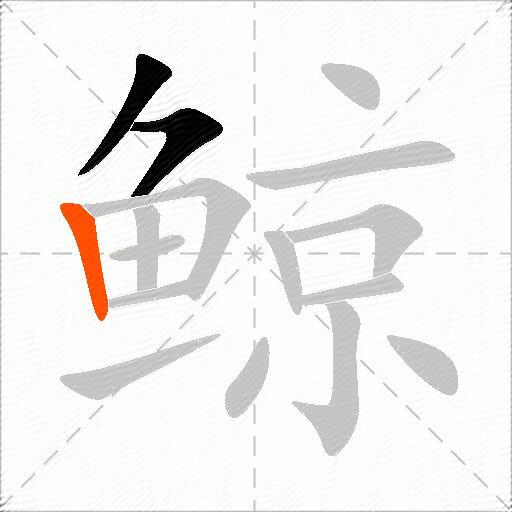 鲸