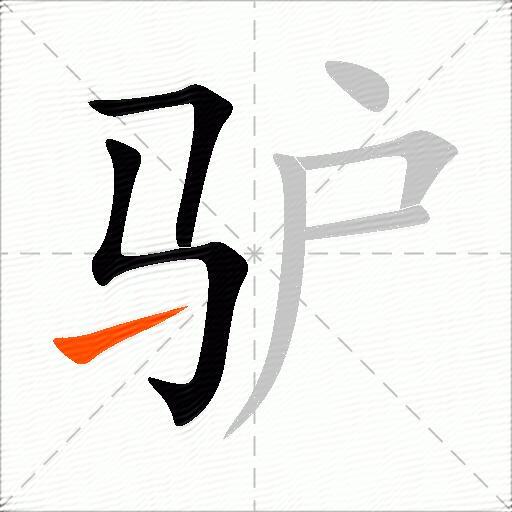 驴