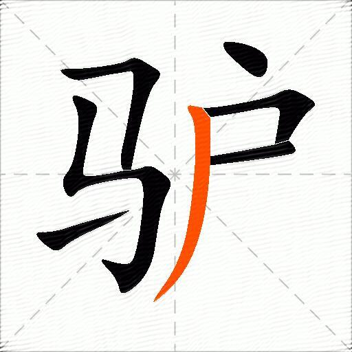 驴