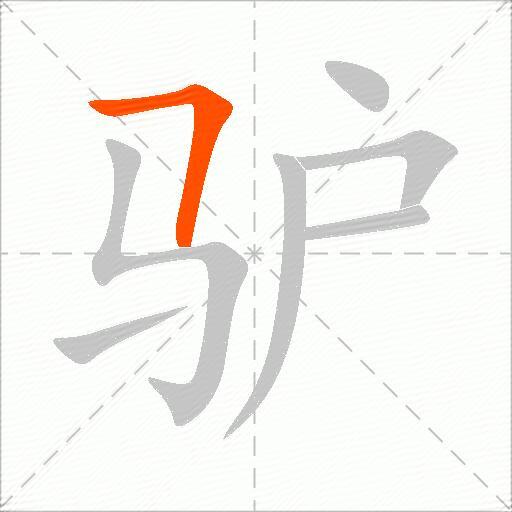 驴