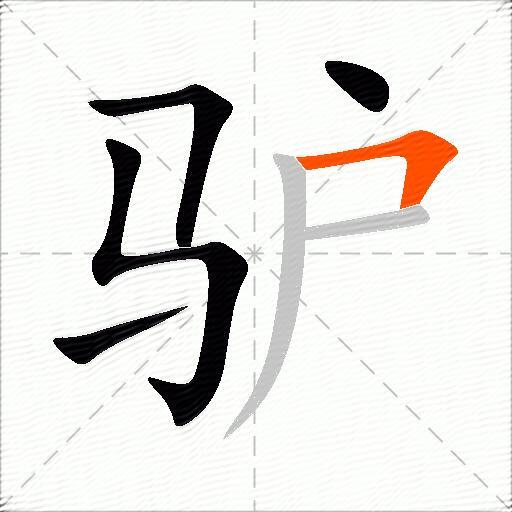 驴