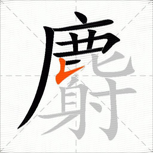 麝