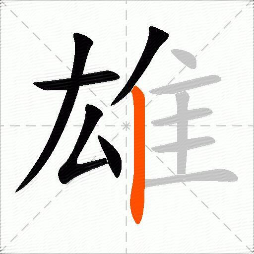 雄