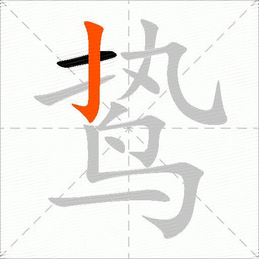 鸷