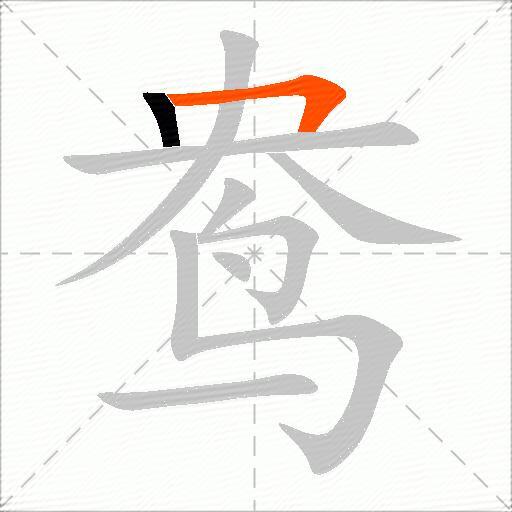 鸯