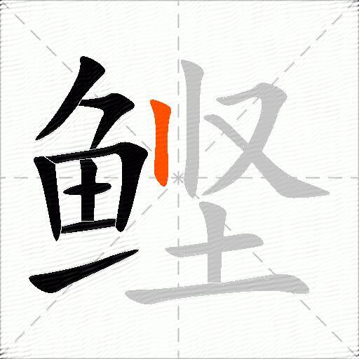 鲣