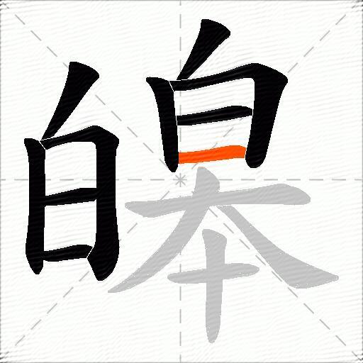 皞