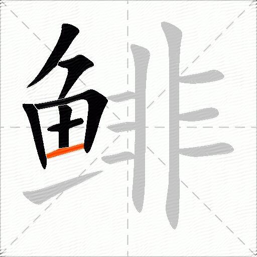 鲱