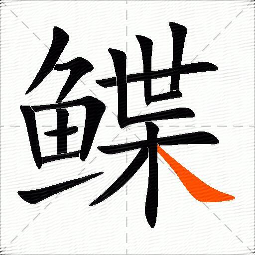 鲽