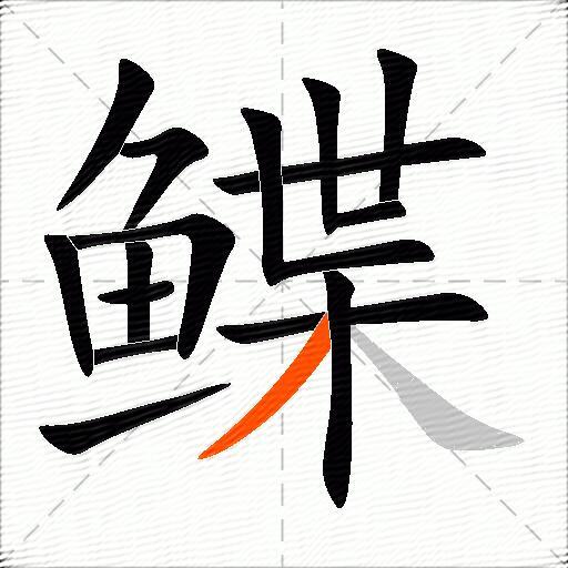 鲽