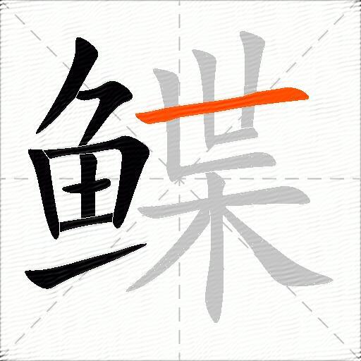 鲽