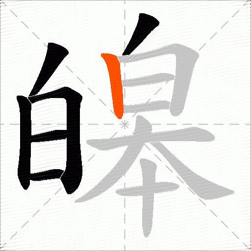 皞