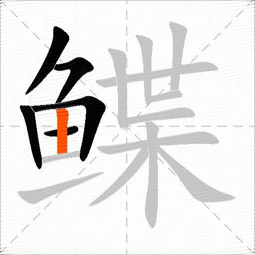 鲽