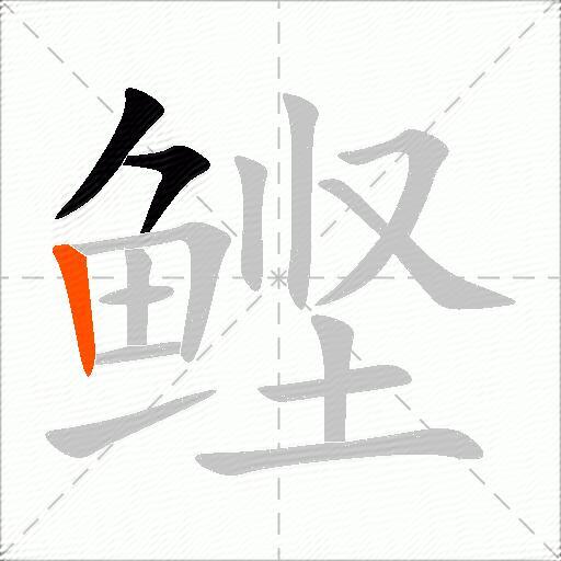 鲣