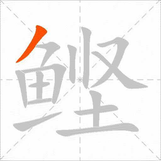 鲣