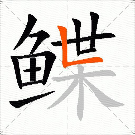 鲽