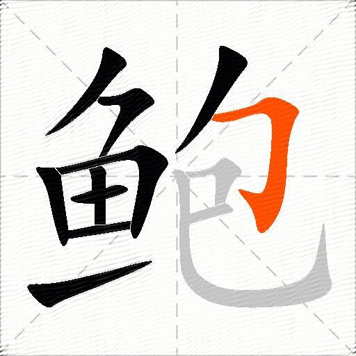 鲍