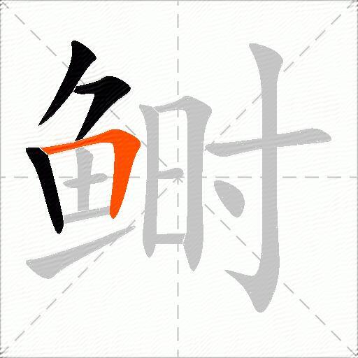 鲥