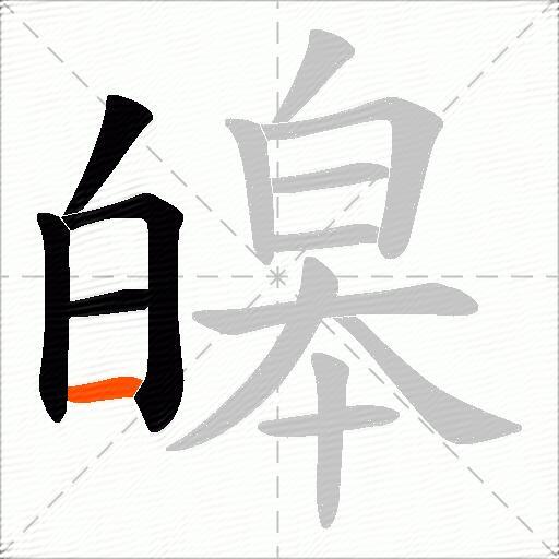 皞