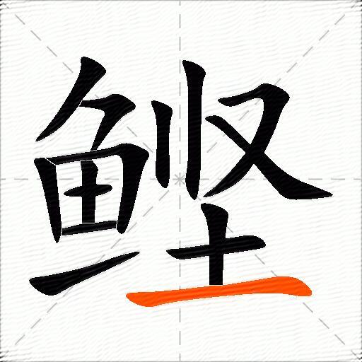 鲣