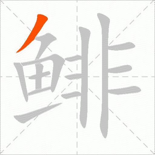 鲱