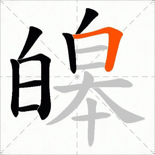 皞