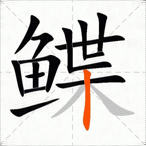 鲽