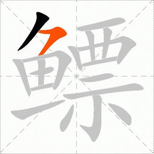 鳔