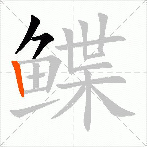 鲽