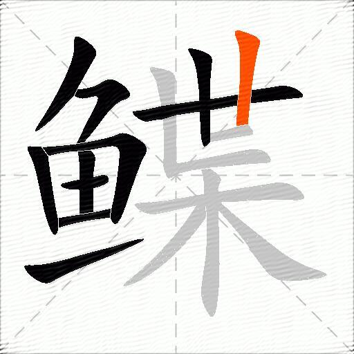 鲽