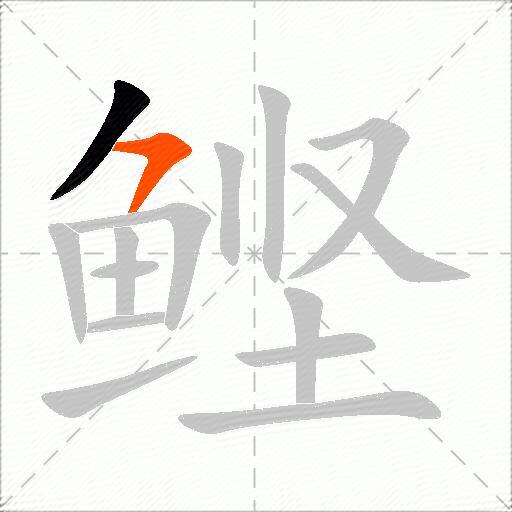 鲣