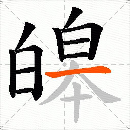 皞