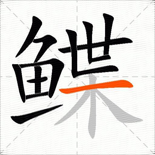 鲽