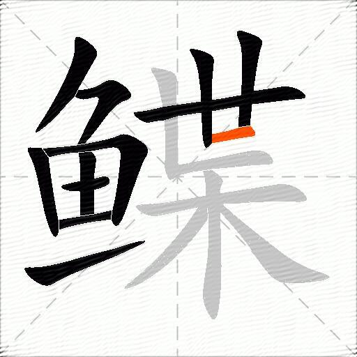 鲽