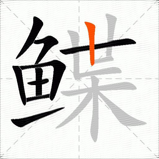 鲽