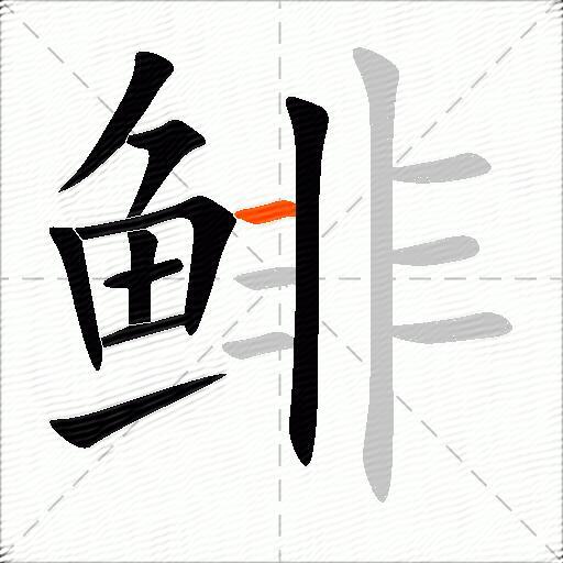 鲱