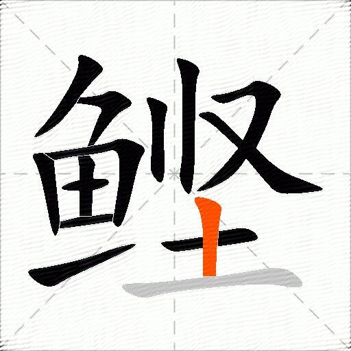 鲣