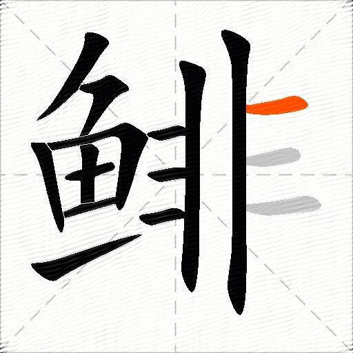 鲱