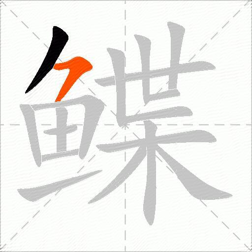 鲽