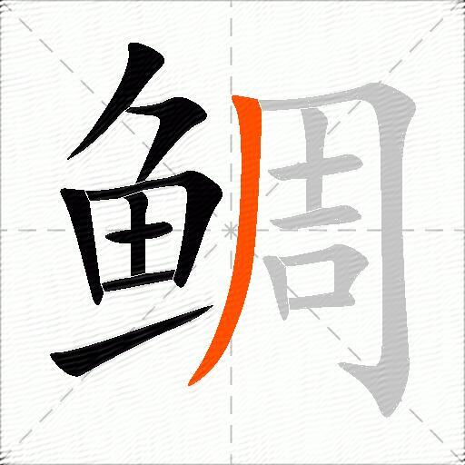 鲷