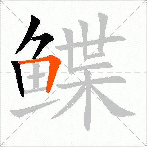 鲽