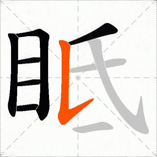 眡