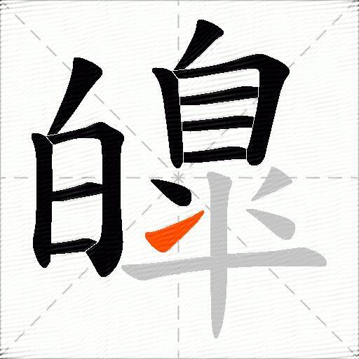 皥