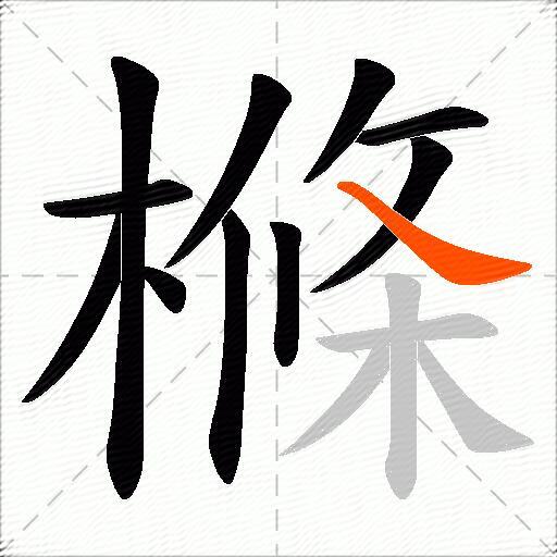 樤