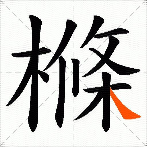 樤