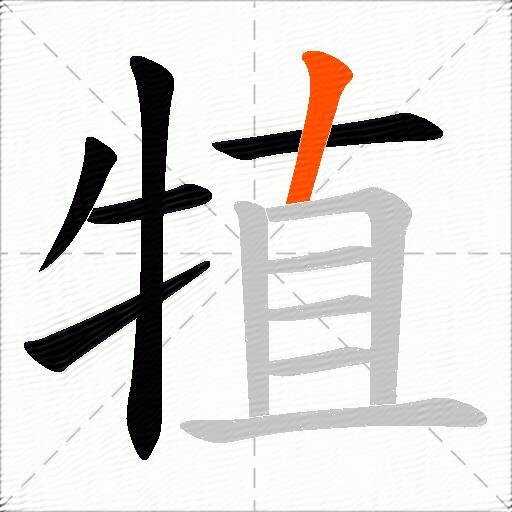 犆