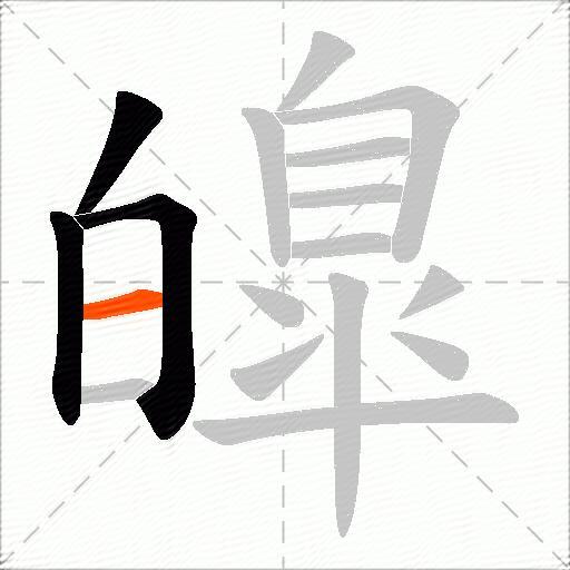 皥