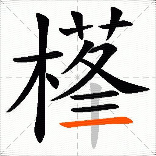 樥