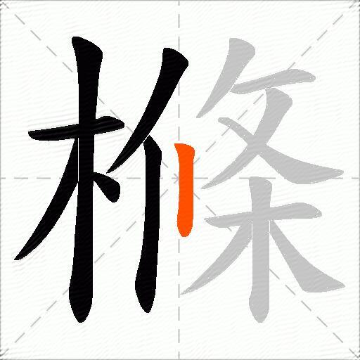 樤