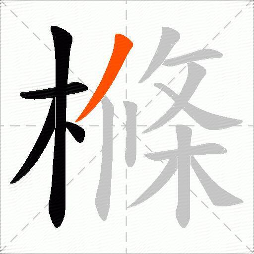 樤